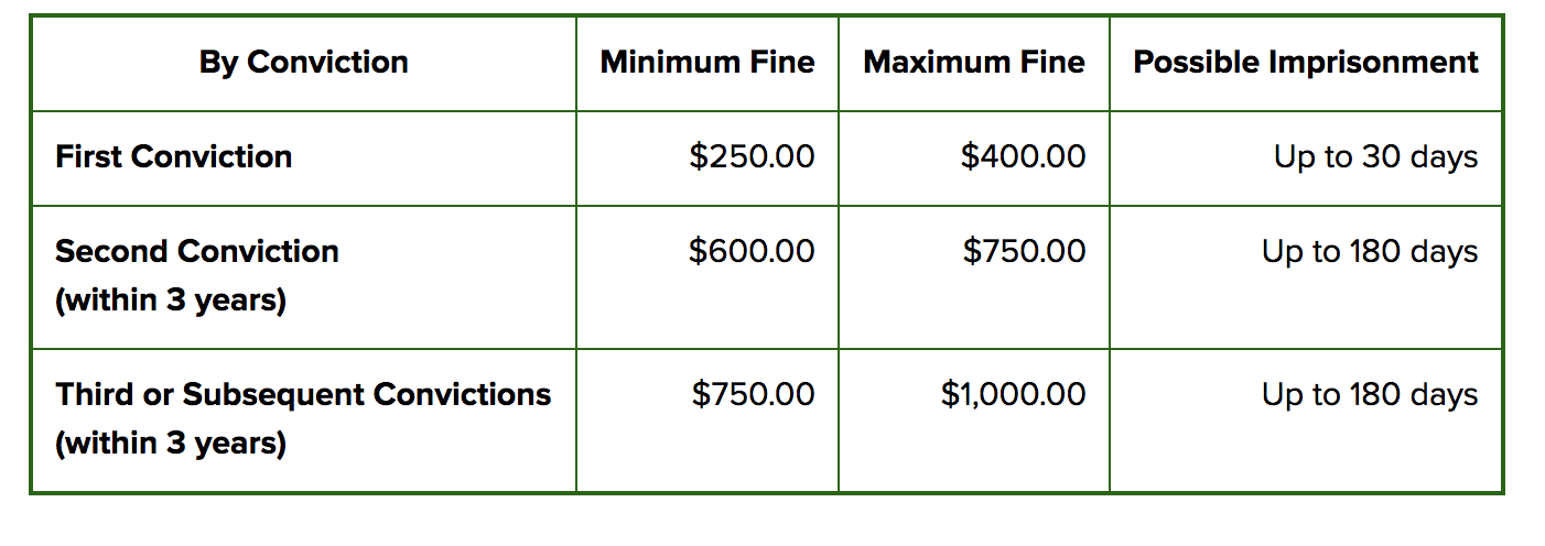 do new york school bus tickets put points on your license